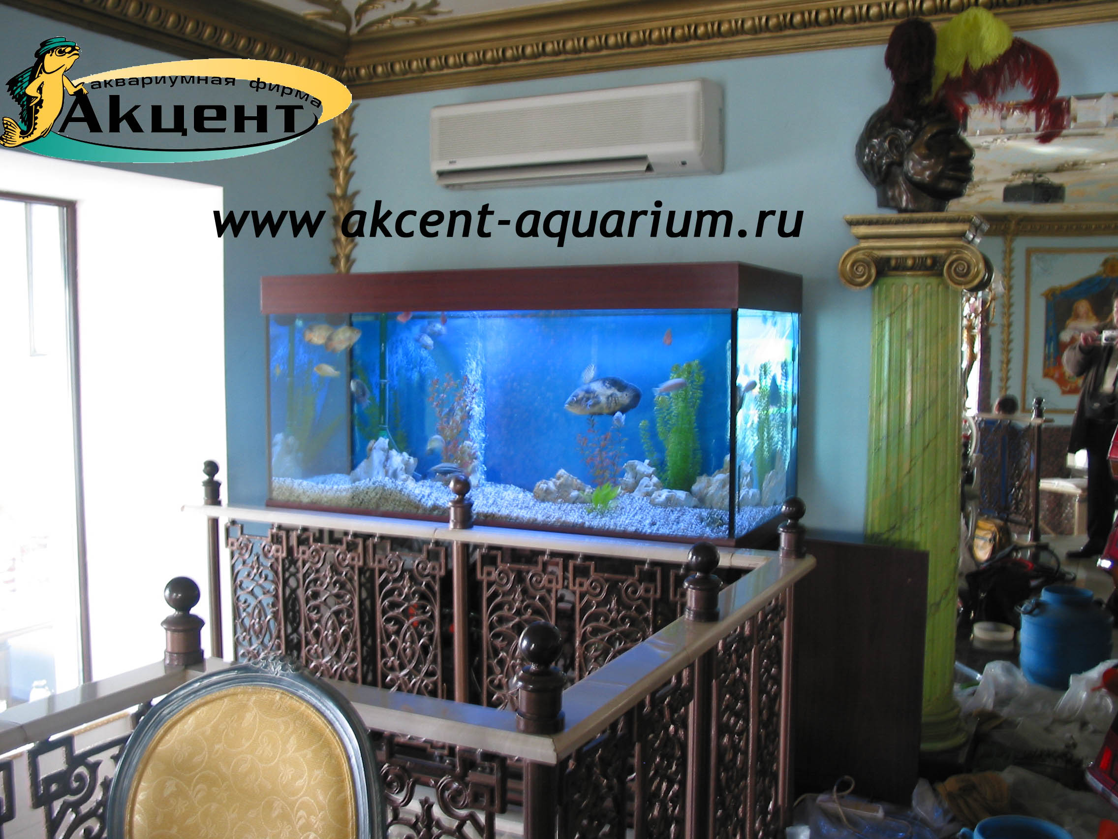 Акцент-аквариум, аквариум 600 литров, ресторан